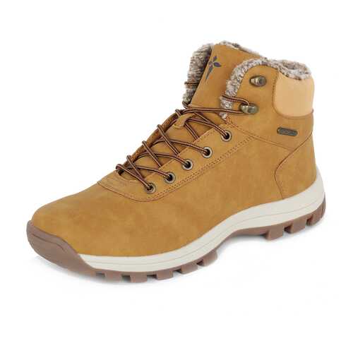 Ботинки мужские T.Taccardi 79707370 коричневые 42 RU в Belwest