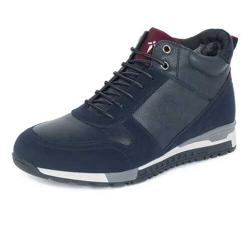 Ботинки мужские T.Taccardi K5122MH-3A синие 42 RU в Belwest