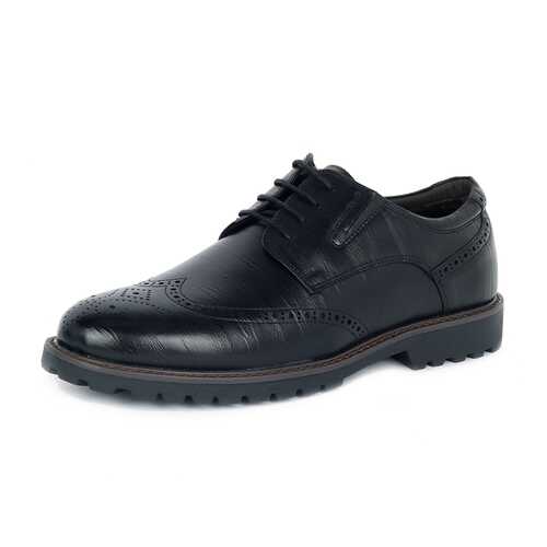 Полуботинки мужские T.Taccardi 25907020 черные 42 RU в Belwest