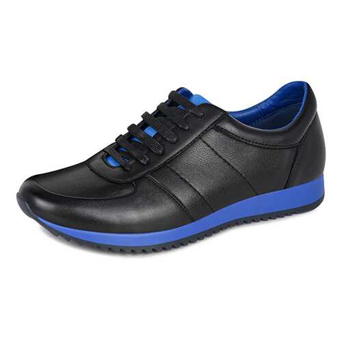 Полуботинки мужские T.Taccardi FM20AW-50 черные 43 RU в Belwest
