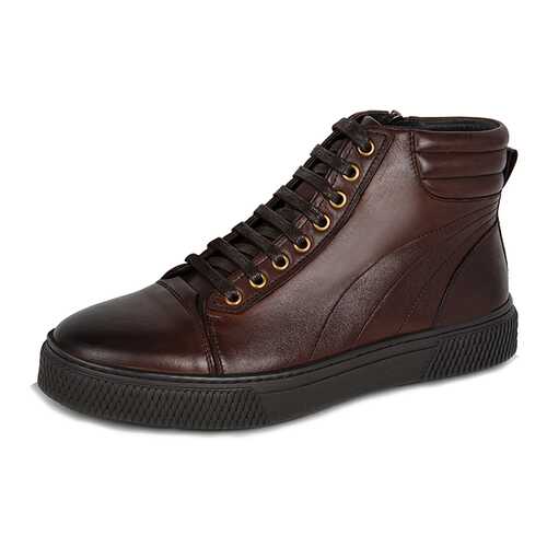 Кеды мужские Pierre Cardin FM20AW-63 коричневые 42 RU в Belwest