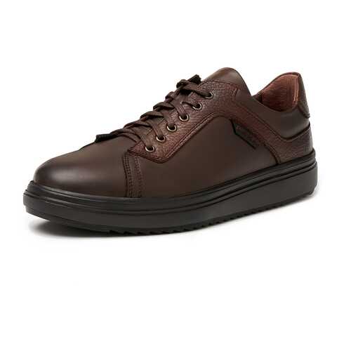 Кеды мужские Pierre Cardin TR-LR-992 коричневые 40 RU в Belwest