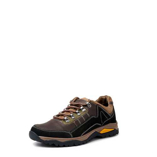 Кроссовки мужские Alessio Nesca KZ-357-401 коричневые 44 RU в Belwest