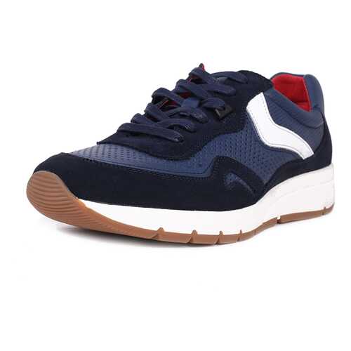 Кроссовки мужские Pierre Cardin 029061M0 синие 40 RU в Belwest