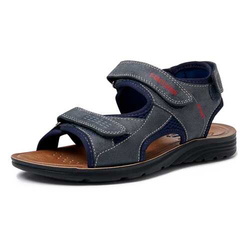 Сандалии мужские T.Taccardi M-635236 синие 42 RU в Belwest