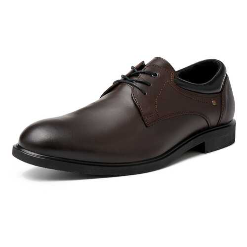 Туфли мужские Alessio Nesca M6208025 коричневые 44 RU в Belwest