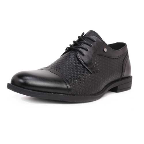 Туфли мужские T.Taccardi 03406040 черные 43 RU в Belwest