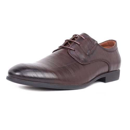 Туфли мужские T.Taccardi 03406360 коричневые 40 RU в Belwest
